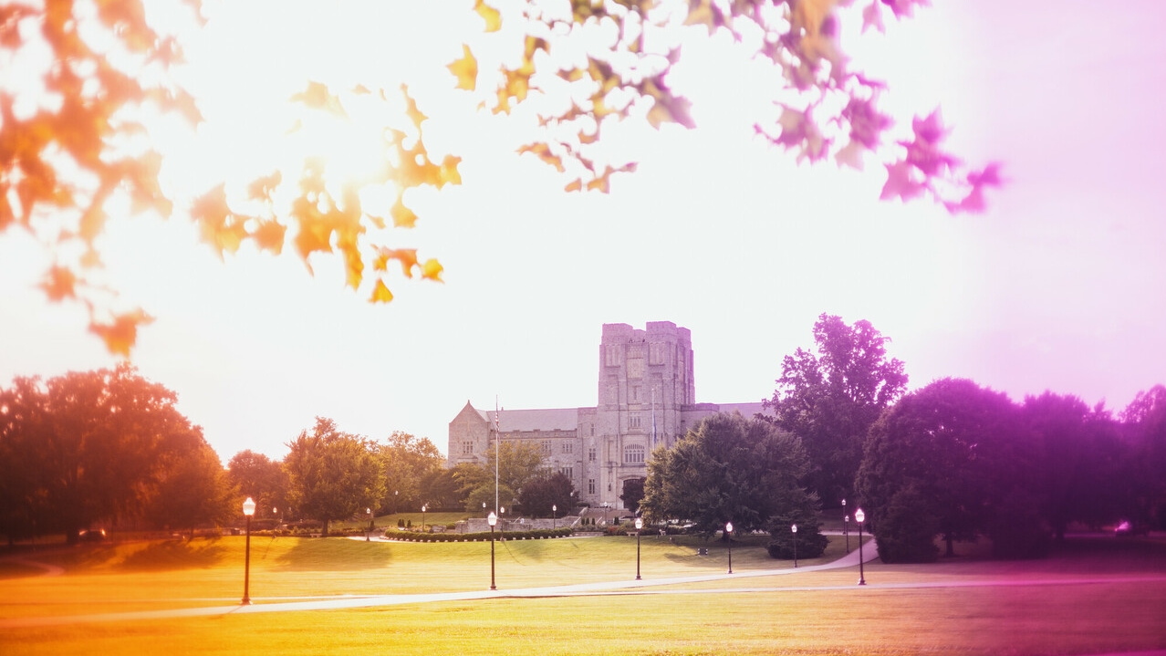 infrared picture of the drillfield with Burruss in the background.